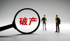 破产程序中担保人的权益保障